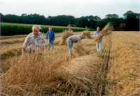 1050 Jahrfeier Ladbergen im Jahr 2000