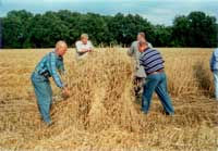 1050 Jahrfeier Ladbergen im Jahr 2000