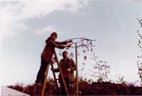 Schützenfest des SV Hölter anno 1981