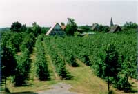 Mehrtagesfahrt 1998, Altes Land, Stade