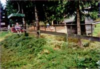 Bayerischer Wald 2005