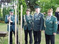 Kaisereiche Ladbergen 2012
