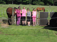 Maiwanderung 2014