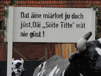Rosenmontag in Ladbergen, 2014