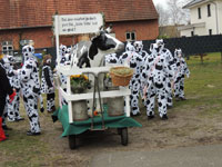 Rosenmontag in Ladbergen, 2014