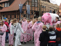 Rosenmontag in Ladbergen, 2014