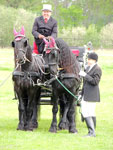Schützenfest 2014, Ladbergen-Hölter