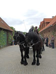 Schützenfest 2014, Ladbergen-Hölter