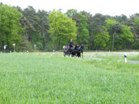 Schützenfest 2014, Ladbergen-Hölter