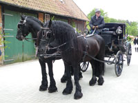 Schützenfest 2014, Ladbergen-Hölter