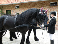Schützenfest 2014, Ladbergen-Hölter