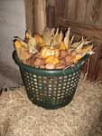 Herbstfest 2011