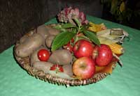 Herbstfest 2011