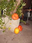 Herbstfest 2009