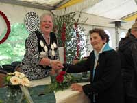 Schützenfest 2010